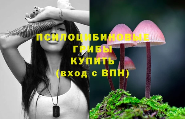 spice Белокуриха