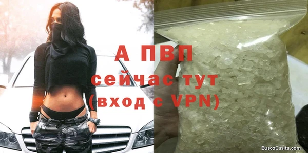 spice Белокуриха